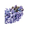 Piardino Hyazinthe (Hyacinthus orientalis) | BAUHAUS