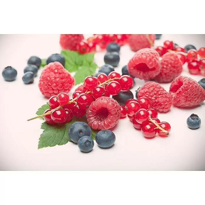 Piardino Obstpflanzen-Mix - Beerenobst verschiedene Sorten, Topfvolumen: 2 l - Eine farbenfrohe Mischung aus frischen roten Himbeeren, Johannisbeeren und blauen Heidelbeeren mit grünen Blättern.