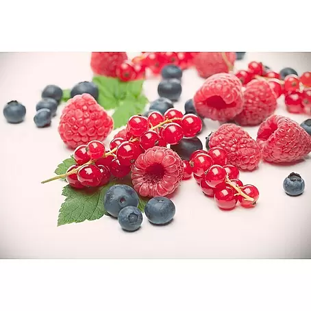 Piardino  Obstpflanzen-Mix