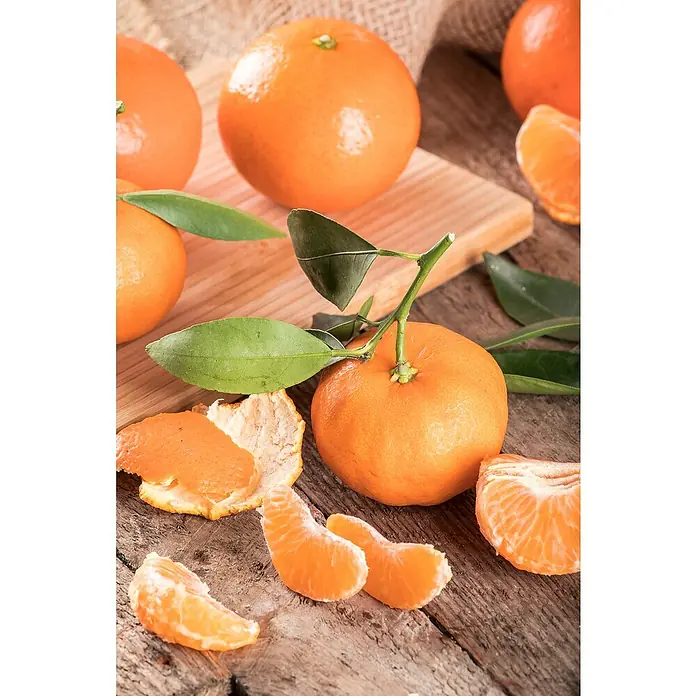 Piardino Mandarino - Citrus x aurantium - Primer plano de mandarinas con hojas verdes, cáscara pelada y segmentos individuales sobre una superficie rústica de madera.