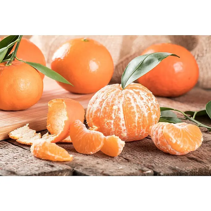 Piardino Mandarino - Citrus x aurantium - Primer plano de mandarinas, algunas peladas, dispuestas sobre una superficie de madera con hojas.