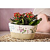 Kalanchoe im Keramiktopf 0 i.F. gem.