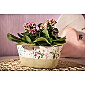 Kalanchoe im Keramiktopf 0 i.F. gem.