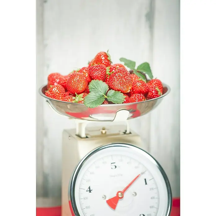 Piardino Erdbeere - Fragaria x ananassa 'Rendezvous', Topfgröße: 10 cm, Erntezeit: Juni - Waage mit frischen Erdbeeren.