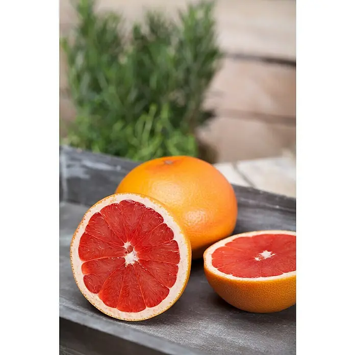 Piardino Árbol frutal Naranjo - Citrus x sinensis, Volumen de la maceta: 10 l - Pomelos frescos exhibidos en una superficie gris, uno cortado para revelar la pulpa roja y jugosa. Un placer saludable para cualquier día.