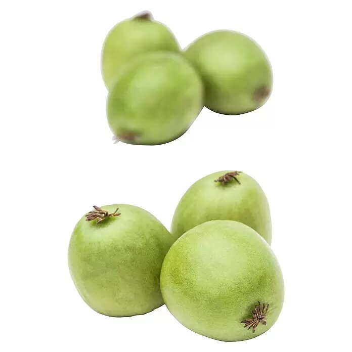 Piardino Mini-Kiwi - Actinidia arguta, Topfvolumen: 5 l - Grüne Kiwibeeren, einige scharf im Vordergrund, andere unscharf im Hintergrund.