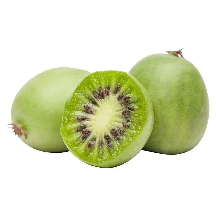 Piardino Mini-Kiwi - Actinidia arguta, Topfvolumen: 5 l - Drei grüne Kiwi-Beeren, eine halbiert mit leuchtend grünem Fruchtfleisch und winzigen schwarzen Samen.