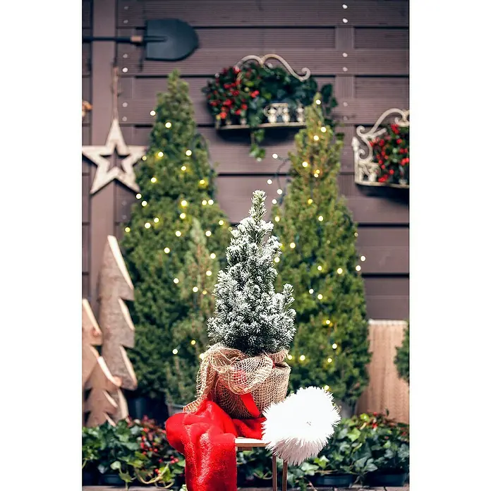 Piardino Zuckerhut-Fichte - Picea conica, Topfgröße: 19 cm - Festliche Dekoration mit einem kleinen, schneebedeckten Weihnachtsbaum im Jutesack, ergänzt durch rote Akzente und Lichterketten.