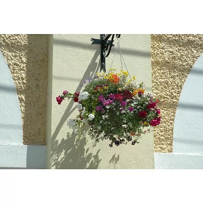 Piardino Garten-Arrangement BeetampelTopfgröße: 30 cm, Blütenfarbe: Bunt