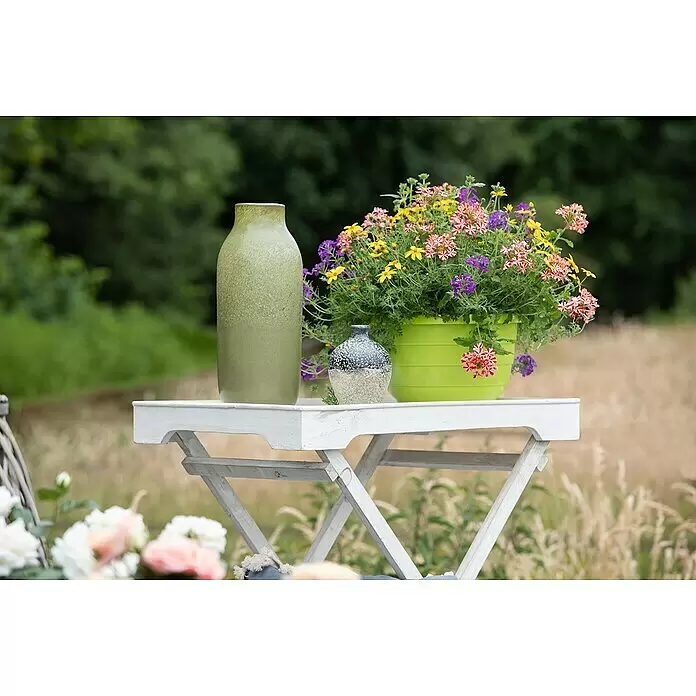Piardino Garten-Arrangement BeetampelTopfgröße: 30 cm, Blütenfarbe: Bunt