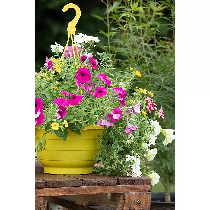 Piardino Garten-Arrangement BeetampelTopfgröße: 30 cm, Blütenfarbe: Bunt