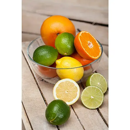 Piardino  Árbol frutal Naranjo