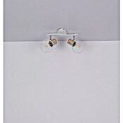 Globo Regleta (40 W, Blanco, L x An x Al: 29,6 x 23 x 18,5 cm)