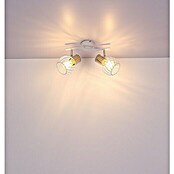 Globo Regleta (40 W, Blanco, L x An x Al: 29,6 x 23 x 18,5 cm)