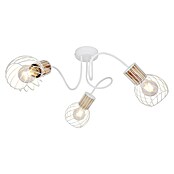 Globo Regleta (40 W, Blanco)