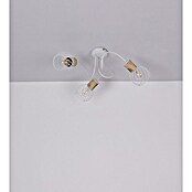 Globo Regleta (40 W, Blanco)