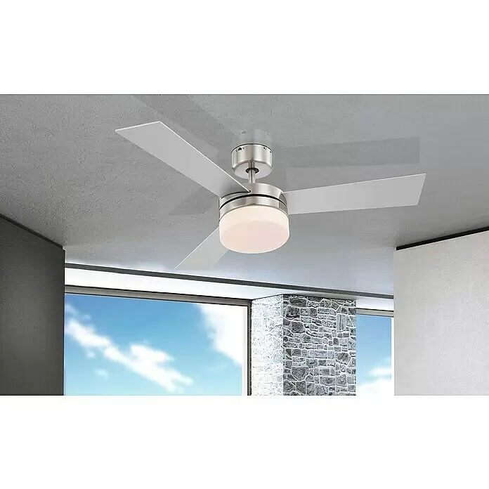 Globo Ventilador de techo Alana - Opal, Níquel mate, Plateado, Haya, Plateado/Haya, 105 cm, 50 W - Ventilador de techo moderno con acabado de níquel cepillado, aspas blancas y luz LED integrada, instalado en una habitación contemporánea.