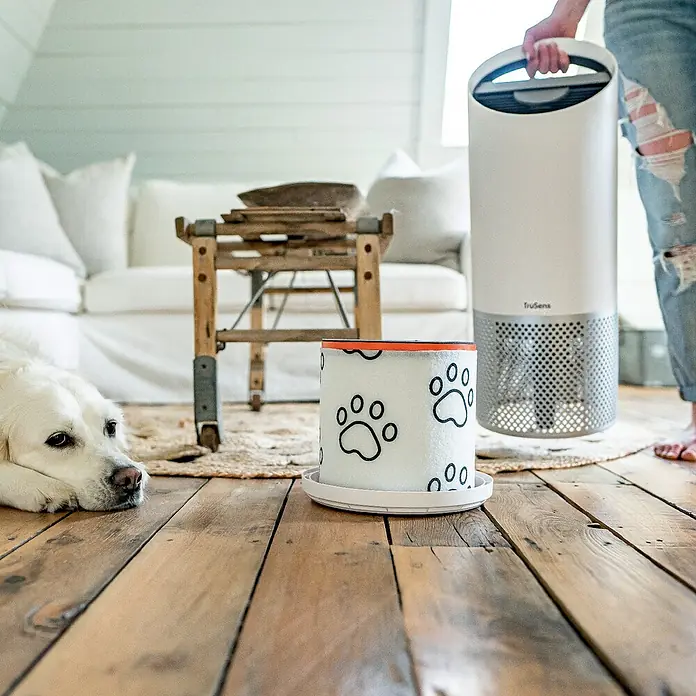 Leitz TruSens Aktivkohlefilter Haustier - Passend für: TruSens Luftreiniger Z-3000/Z-3500, Höhe: 21,6 cm - Hund liegt neben einem TruSens Luftreinigerfilter mit Pfotenabdruckdesign und einem TruSens Luftreiniger im Hintergrund.