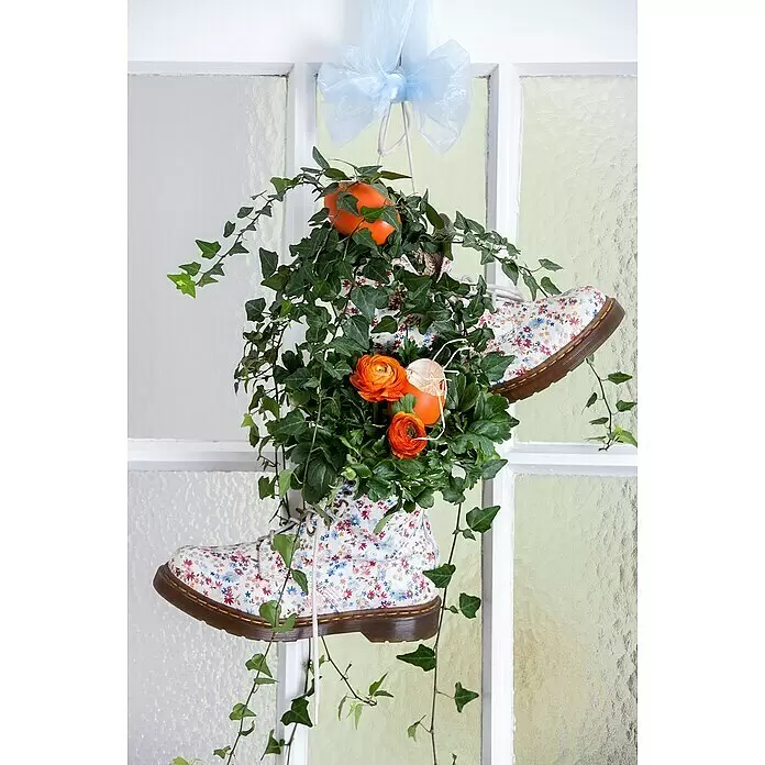 Piardino Efeu - Hedera helix - Weiße floral gemusterte Stiefel als Hängepflanzer mit Efeu, orangen Ranunkeln und Deko-Eiern, an einem Fenster aufgehängt.