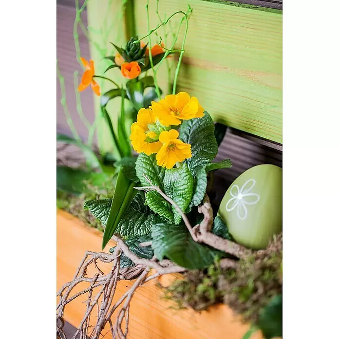 Piardino Primel Set - Primula acaulis, 10 Stk., verschieden - Osterdekoration: gelbe Primeln, orangefarbene Blüten, grüne Blätter, Moos, Äste und ein hellgrünes Ei mit Blumenmuster, arrangiert in einem Holzkasten.