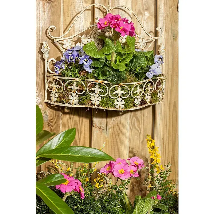 Piardino Violeta de los Pirineos - Tamaño de maceta: 12 cm, En función de la variedad - Jardinera de pared decorativa con flores rosas y moradas sobre un fondo de madera, ideal para jardines y balcones.