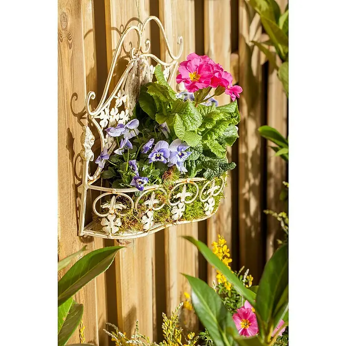 Piardino Primel Set - Primula acaulis, 10 Stk., verschieden - Nahaufnahme eines Wandkorbs mit verschiedenen bunten Blumen an einer Holzwand.