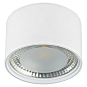 Globo Plafón LED (12 W, Claro)