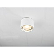 Globo Plafón LED (12 W, Claro)