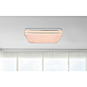 Globo LED stropna svjetiljka (24 W, Opal, D x Š x V: 33,5 x 33,5 x 7,3 cm)