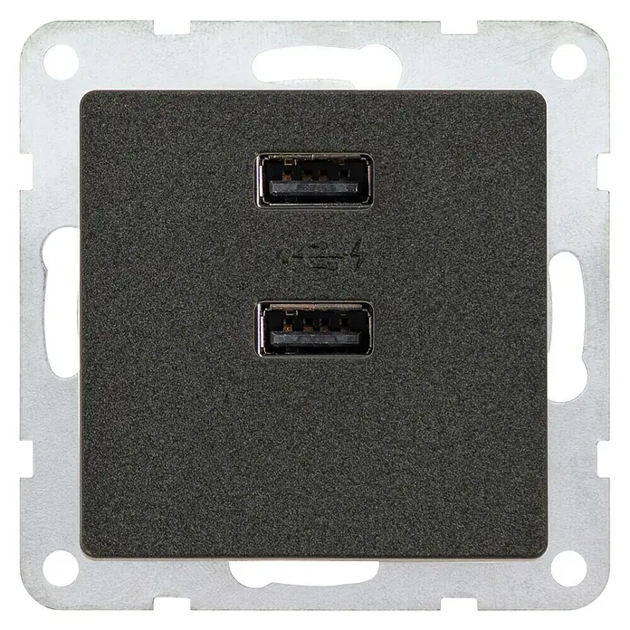 Siemens DELTA Mega Steckdosen-USB-Einsatz SIE039499 - Carbon Metallic, Glänzend, Unterputzmontage - Nahaufnahme einer schwarzen Doppel-USB-Wandsteckdose mit silberner Blende, ideal zum Aufladen von Geräten.