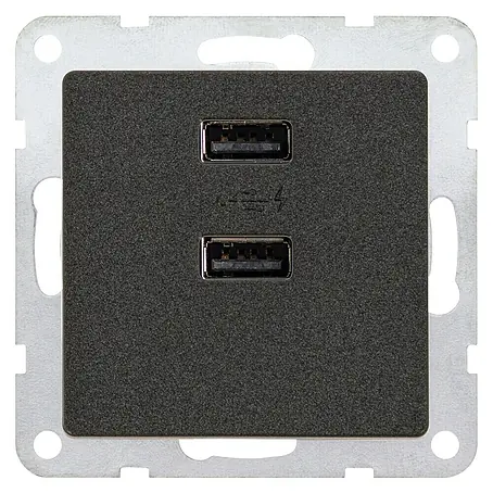 Siemens DELTA Mega Steckdosen-USB-Einsatz SIE039499