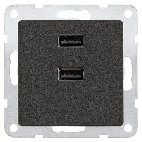 Siemens DELTA Mega Steckdosen-USB-Einsatz SIE039499