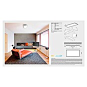 Osram LED-Panel Planon Plus (17 W, Weiß, L x B x H: 59,5 x 29,5 x 4,6 cm, Kaltweiß)