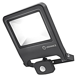 Osram Proyector LED Endura Flood (30 W, Acero inoxidable, Blanco cálido, IP44)