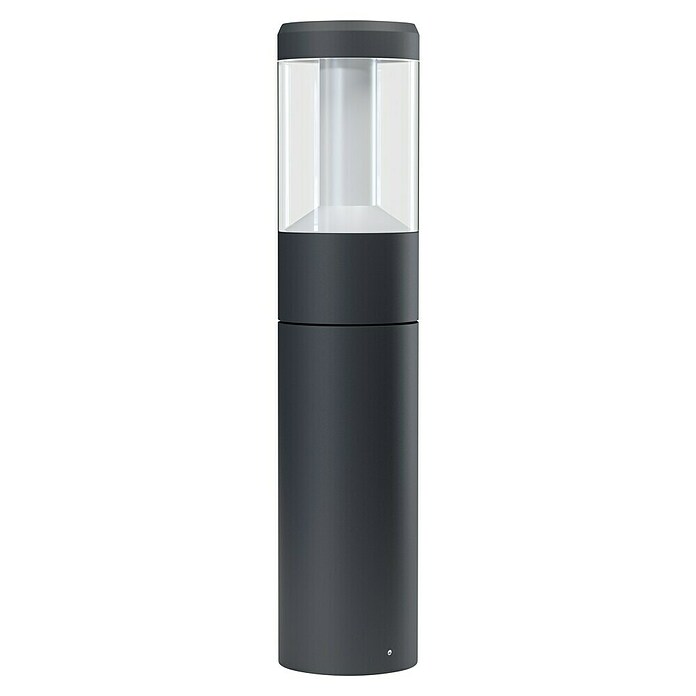 Ledvance LED zunanja luč Laterna  (12 W, Temno sive barve, Ø x V: 11 x 50 cm) | 3081 - Sockel/Wegleuchte | CAJA - Outdoorleuchten Hochvolt | CAJ - Outdoorleuchten | CA - Beleuchtung | C - Elektro | BAUHAUS