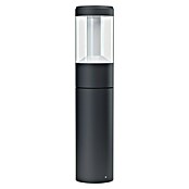 Ledvance LED zunanja luč Laterna  (12 W, Temno sive barve, Ø x V: 11 x 50 cm) | 3081 - Sockel/Wegleuchte | CAJA - Outdoorleuchten Hochvolt | CAJ - Outdoorleuchten | CA - Beleuchtung | C - Elektro | BAUHAUS