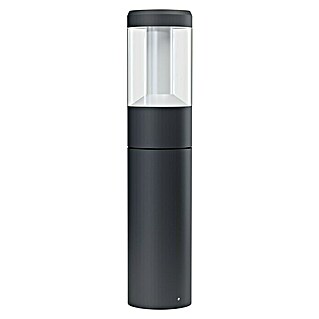 Ledvance LED zunanja luč Laterna (12 W, Temno sive barve, Ø x V: 11 x 50 cm)