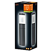 Ledvance LED zunanja luč Laterna  (12 W, Temno sive barve, Ø x V: 11 x 50 cm) | 3081 - Sockel/Wegleuchte | CAJA - Outdoorleuchten Hochvolt | CAJ - Outdoorleuchten | CA - Beleuchtung | C - Elektro | BAUHAUS