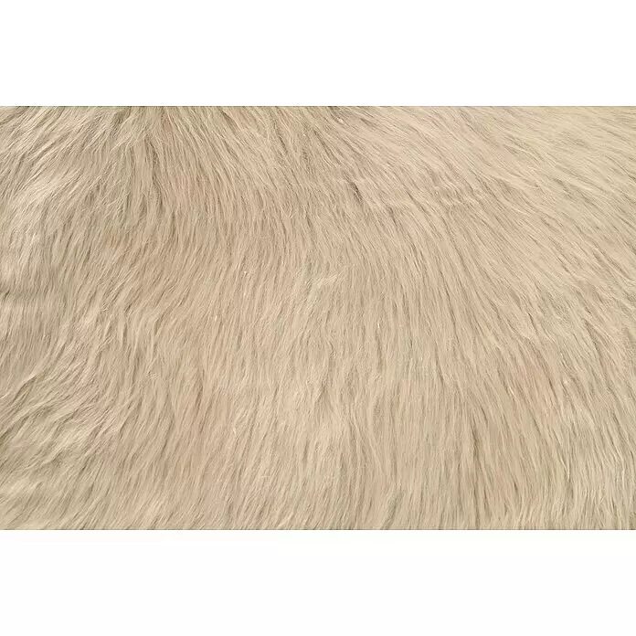 Esbeco Schaffell - Taupe, 80 x 50 cm, 100 % Echtfell - Detailaufnahme
