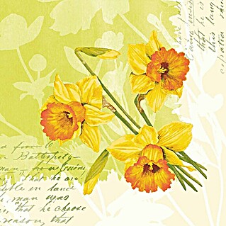 Duni Serviette Dunisoft® (12 Stk., 40 x 40 cm, Spring Flower)