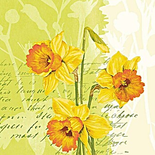 Duni Serviette (20 Stk., 33 x 33 cm, Spring Flower)
