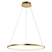 Paul Neuhaus LED-Pendelleuchte rund Circle (28 W, Ø x H: 45,5 x 6,6 cm, Gold, Warmweiß) | BAUHAUS