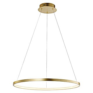 Paul Neuhaus LED-Pendelleuchte rund Circle (28 W, Ø x H: 45,5 x 6,6 cm, Gold, Warmweiß)