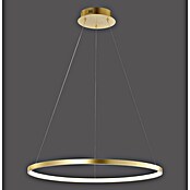 Paul Neuhaus LED-Pendelleuchte rund Circle (28 W, Ø x H: 45,5 x 6,6 cm, Gold, Warmweiß) | BAUHAUS