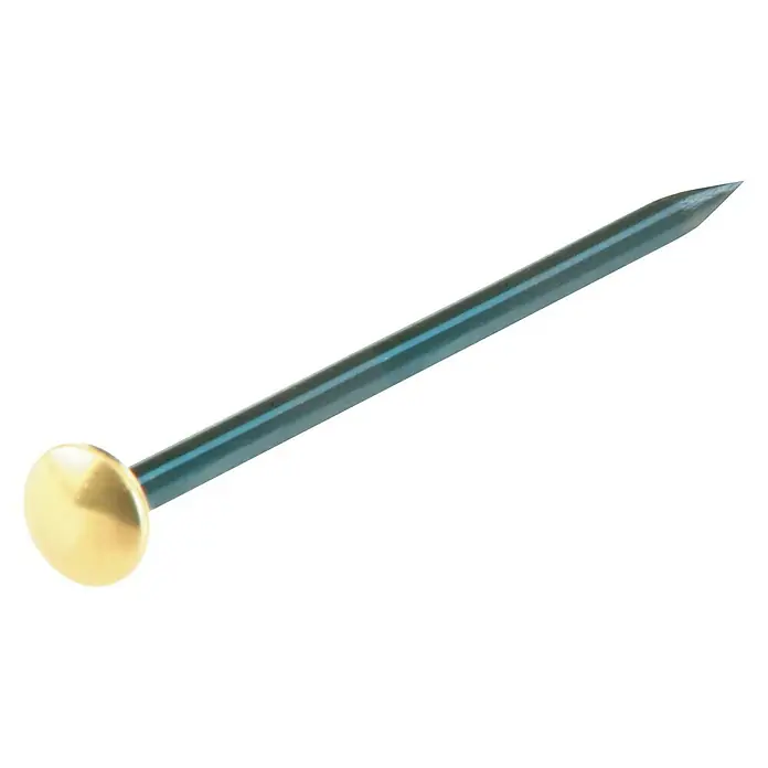 Suki Clavo - Ø x L: 2 x 25 mm, Acero, 12 ud. - Primer plano de una chincheta con cabeza dorada y eje azul sobre fondo negro.