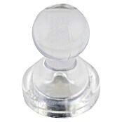 Suki Imán plastificado Cone (Diámetro: 15 mm, Redonda, Transparente) | BAUHAUS