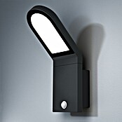Osram Endura Style Sensor-LED-Außenwandleuchte Wall (1-flammig, 12 W, Warmweiß, IP44, Bewegungsmelder)