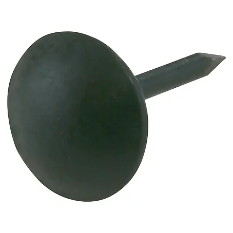 Suki  Tachuela
