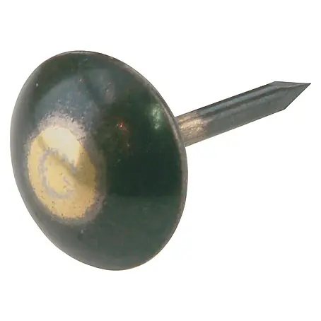 Suki  Tachuela L