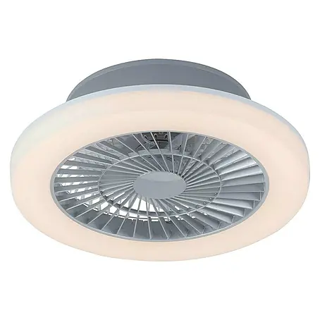 Ventilador de techo Leonard